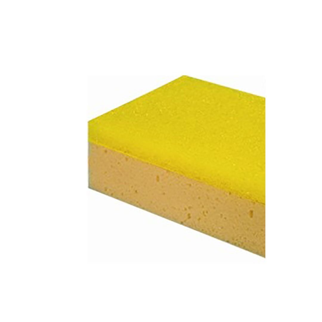 esponja (1)